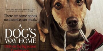 Drumul-unui-câine-către-casă-film-online